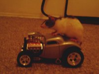 ratrod.JPG