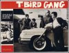 1959_tbirdgang.jpg