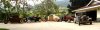 DSC00407 copy.jpg