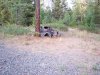 cars found on 141 near trout lake wa 10-4-09.jpg