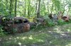 SDC10597.jpg