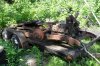SDC10595.jpg