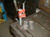 Mold2.JPG