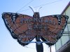IMG_0621.JPG
