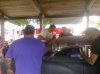 CIMG0047.jpg