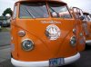 vwbuses 005.jpg