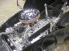 CIMG8155.JPG