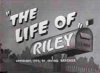 life-of-riley.jpg