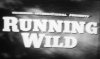 running Wild 1.jpg