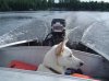 DSC02668.jpg