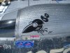 Bonneville 2010 059 (Medium).jpg