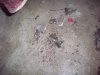 100_1788.jpg