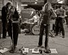 The Honeybee's 2010-4 copy.jpg