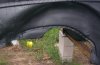100_2079.JPG