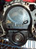 DSC01883.jpg