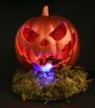 pumpkin A.jpg