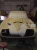 2008_0604vettestripepics0014.JPG