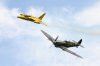 gnat-and-spitfire.jpg