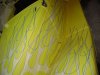 DSC03314-vi.jpg