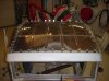 DSC00039.jpg