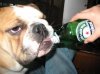kONA dRUNK.jpg