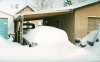 Record snow 2b.jpg