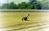 12-9-2010_023.jpg