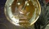 IMAG0149.jpg