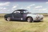 Ghia at Wolds b.jpg