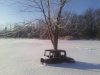 ice storm 003.jpg