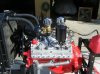Flathead 016.jpg