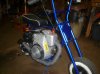 All pictures 1170.jpg
