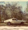 scan0069 (Medium).jpg