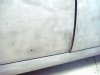 DSC08339.JPG