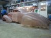 DSC07537.jpg