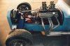 Indy  T (7).jpg