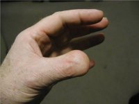 thumb.jpg