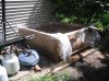SDC11008.jpg
