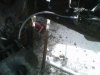 IMG00267-20110515-1501.jpg