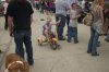 rust revival 2011 (30).jpg
