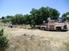ol trucks 033.jpg