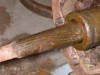 rileynoodles 012.jpg