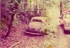 41 Studebaker 4dr rotting rear view 02.jpg