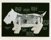 Westinghouse - Mechanical Man and Dog (Elektro and Sparko) - Diagram of Sparko.jpeg