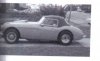 healey.jpg