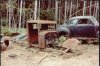 1981.jpg