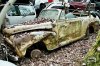 Swiss Fords.jpg