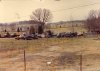 Field of 40s Fords & Chevies rotting away 02.jpg