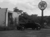 IMG01291-20110716-1906.jpg