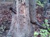 IMG00142-20110506-1237.jpg